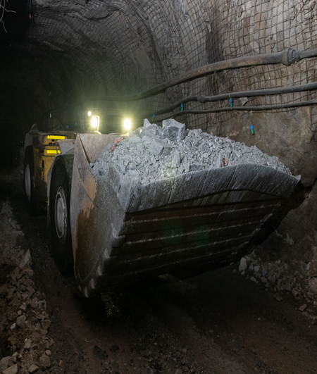 Sociedad Minero metalúrgica Reserva LTDA.